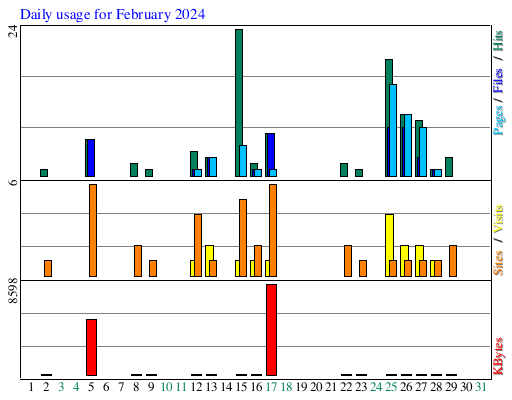 Daily usage for February 2024