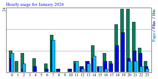 Hourly usage for January 2024