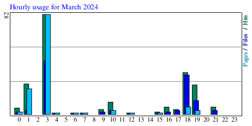 Hourly usage for March 2024